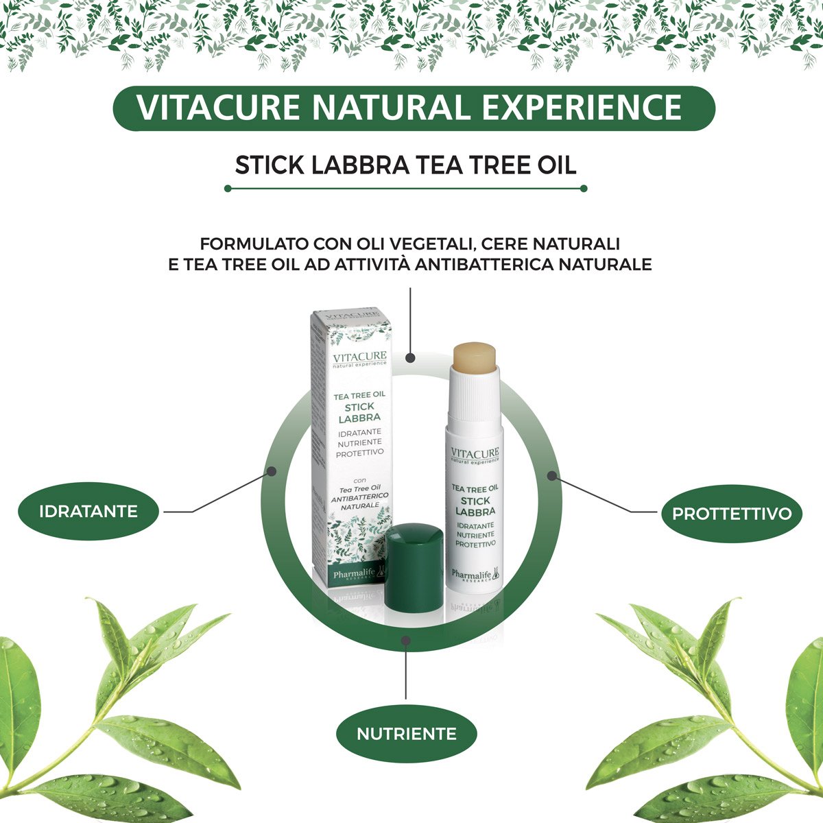 Doctor of Philosophy Effectively register Tea Tree Oil Stick Labbra Idratante - Pharmalife Research